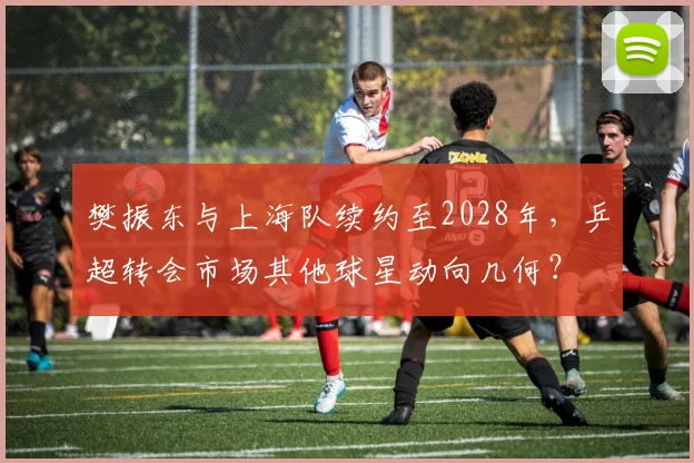 樊振东与上海队续约至2028年,乒超转会市场其他球星动向几何?